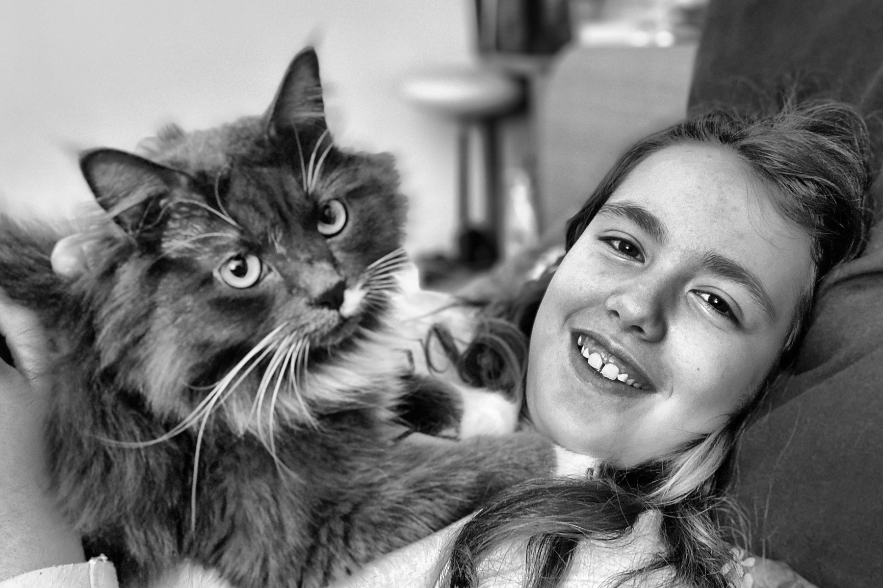 Lees meer over het artikel De Magie van samen: Verken de diepgaande band tussen katten en mensen